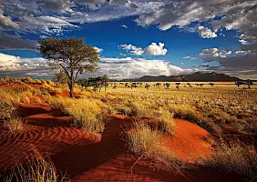 turistipercaso Namibia_201561224