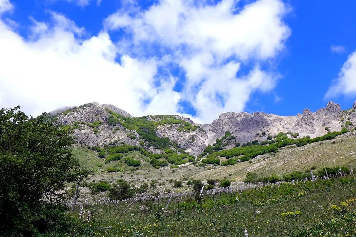 Parco delle Madonie