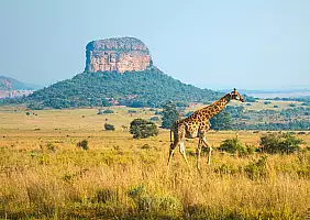 turistipercaso Sudafrica-958201790