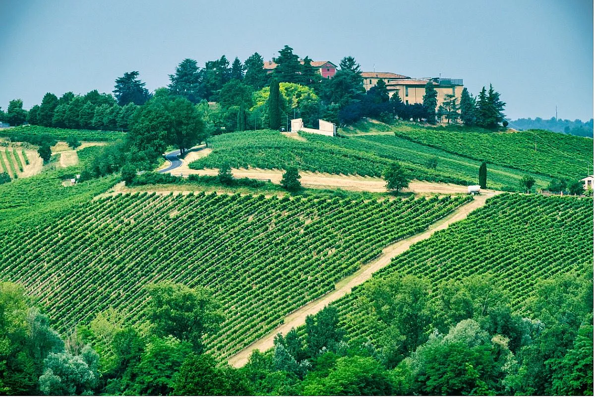 colli-piacentini