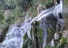 turistipercaso Parco_di_Tijuca