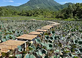 turistipercaso image00011