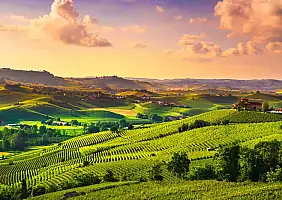 turistipercaso langhe_1241416330