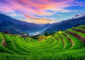 turistipercaso Beautiful Rice terraces at sunset in Mu cang chai, Vietnam.