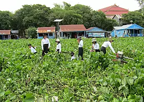 turistipercaso 00129_da_Battambang_a_Siem_Reap