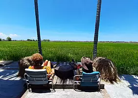 turistipercaso 00687_Hoi_Han