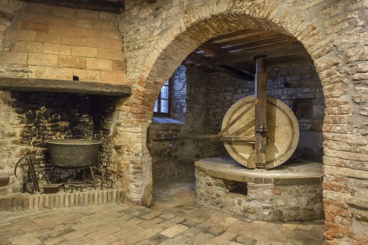 frantoi-aperti-2023-umbria