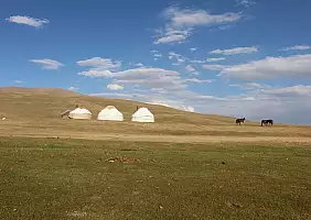 turistipercaso Cavalli2
