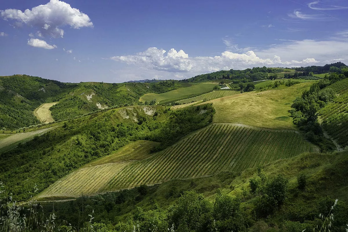 Un affresco di colori e sapori: la Romagna così non l’hai ancora mai vista (e gustata!)