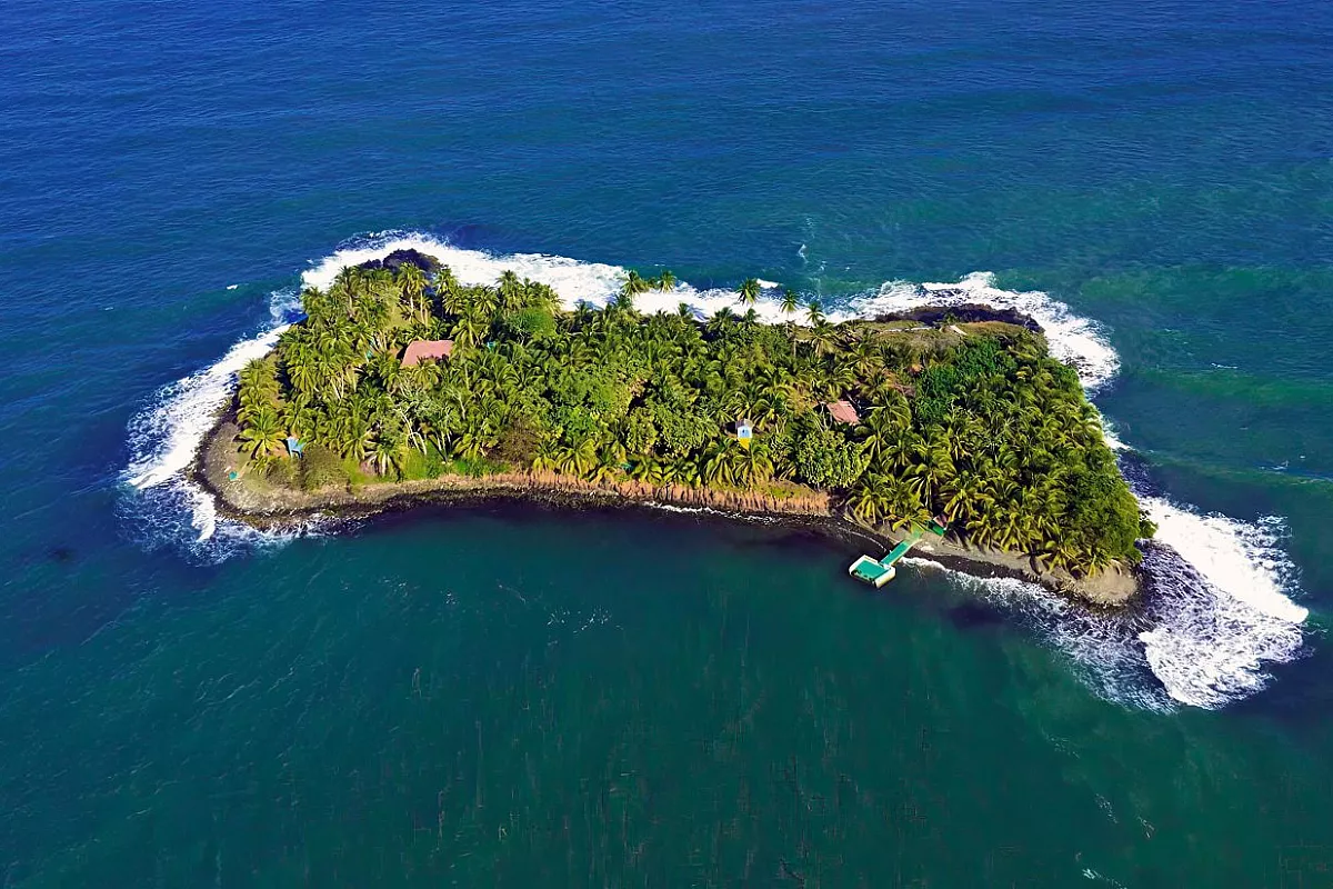 iguana-island