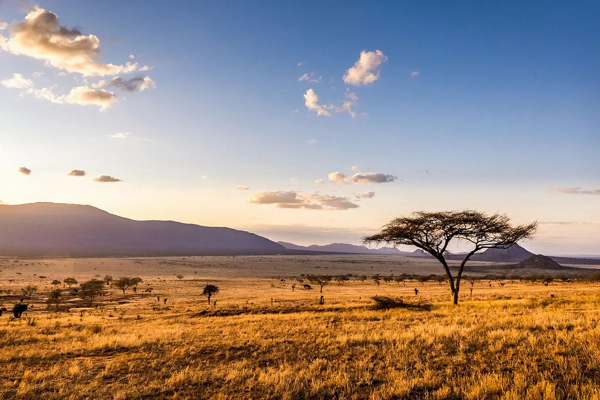 kenya