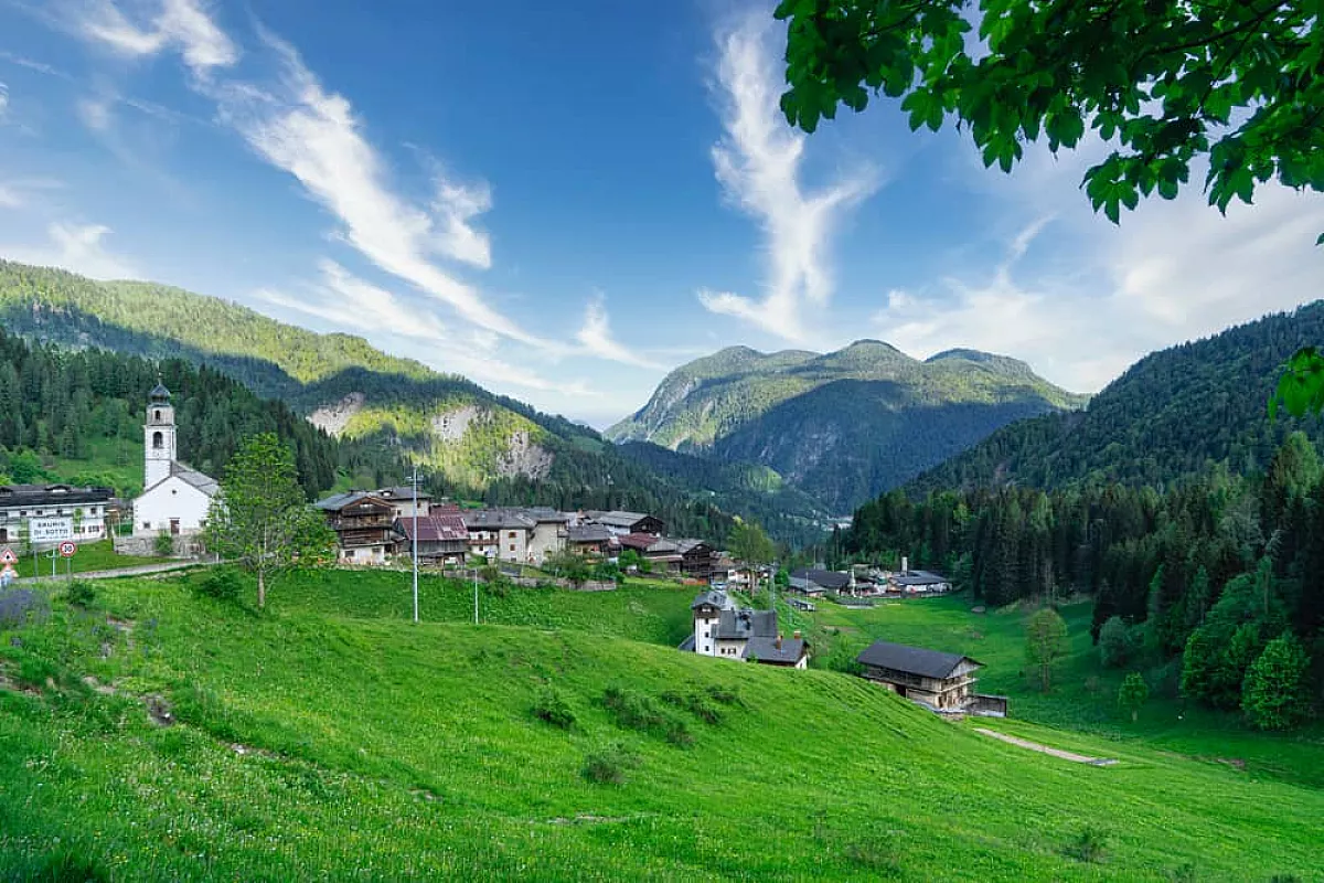 sauris