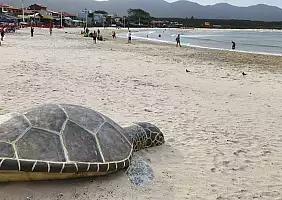 turistipercaso 20231123_170258