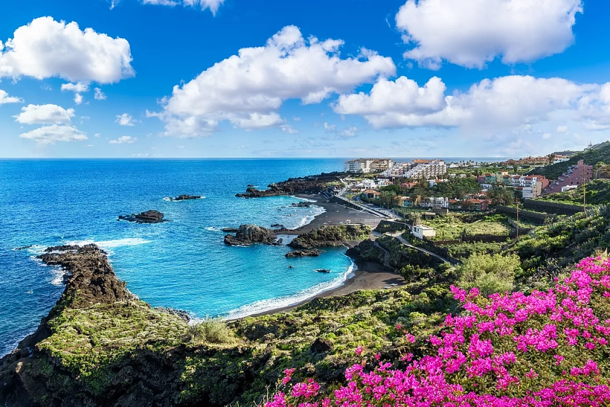 Canarie