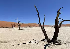 turistipercaso