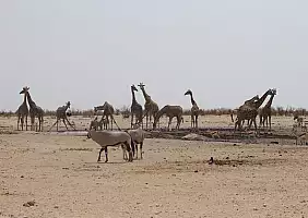 turistipercaso 331