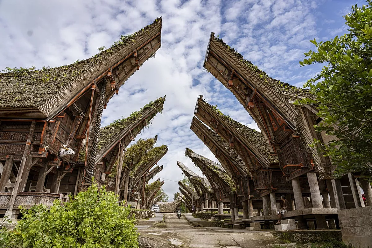 Indonesia Toraja