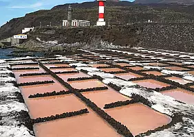 turistipercaso WhatsApp_Image_2024_01_05_at_19.24.10_2_