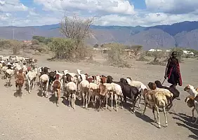 turistipercaso jg