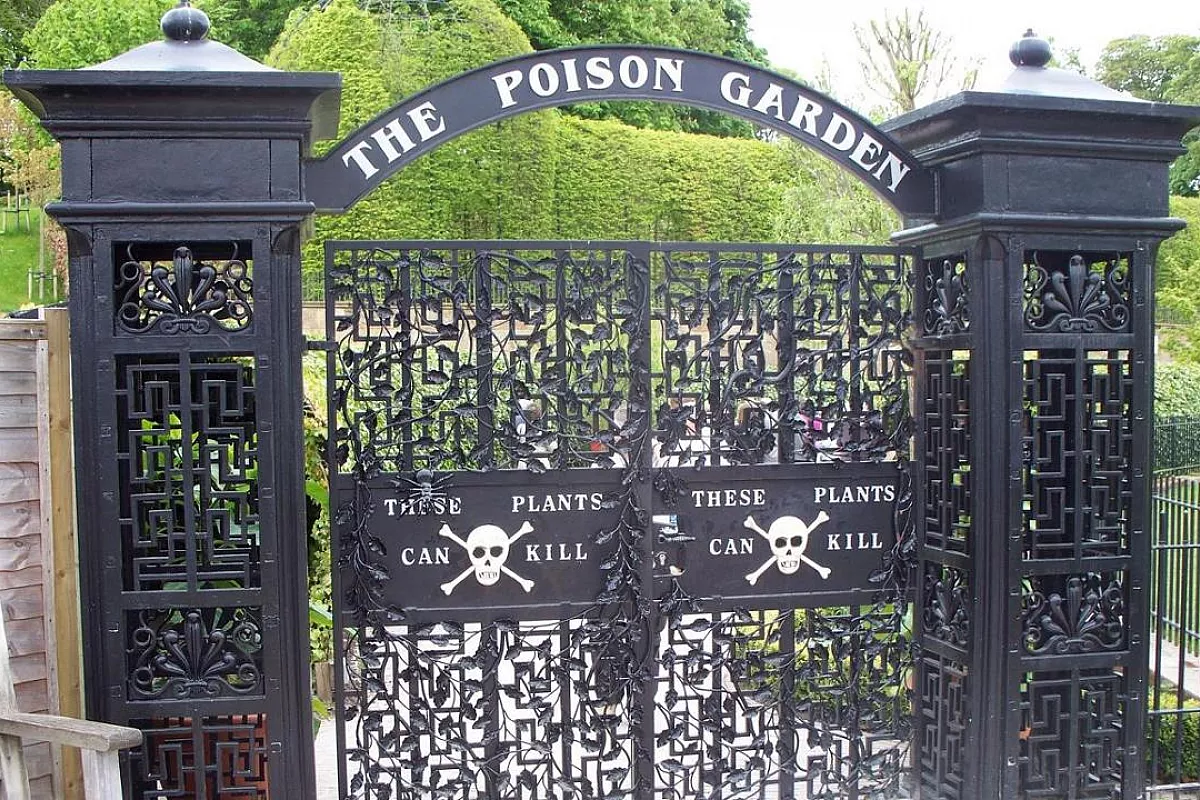 poison-garden