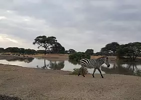 turistipercaso sc