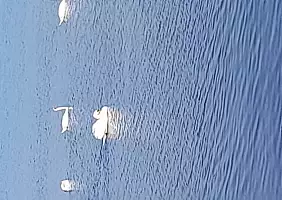 turistipercaso 20240204_152056