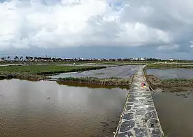 turistipercaso HOI_AN_RISAIE