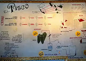 turistipercaso IMG_3615_Cusco_museo_del_Pisco