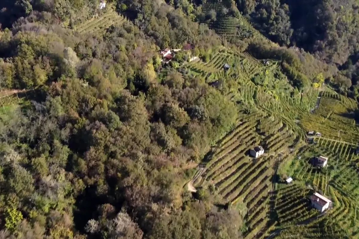Paesaggio delle Colline del Prosecco