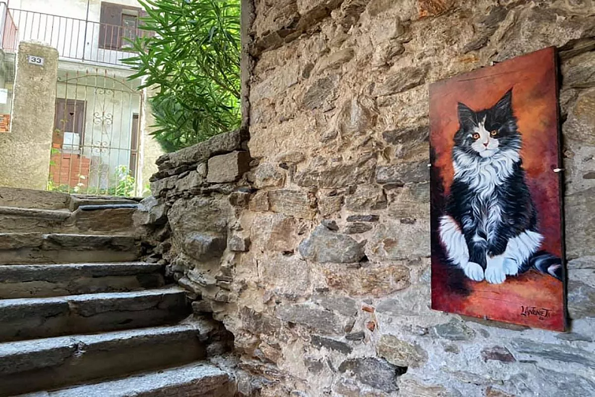brolo-paese-dei-gatti
