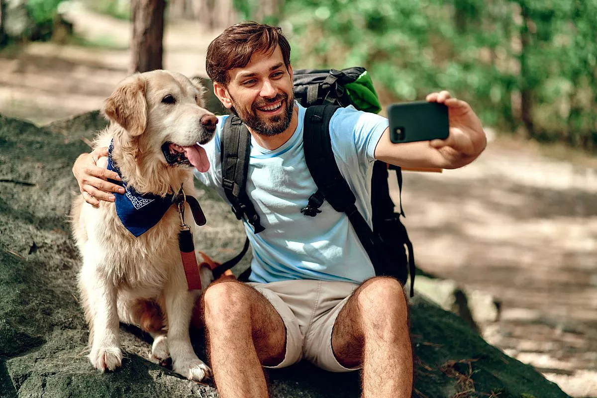 dog-trekking