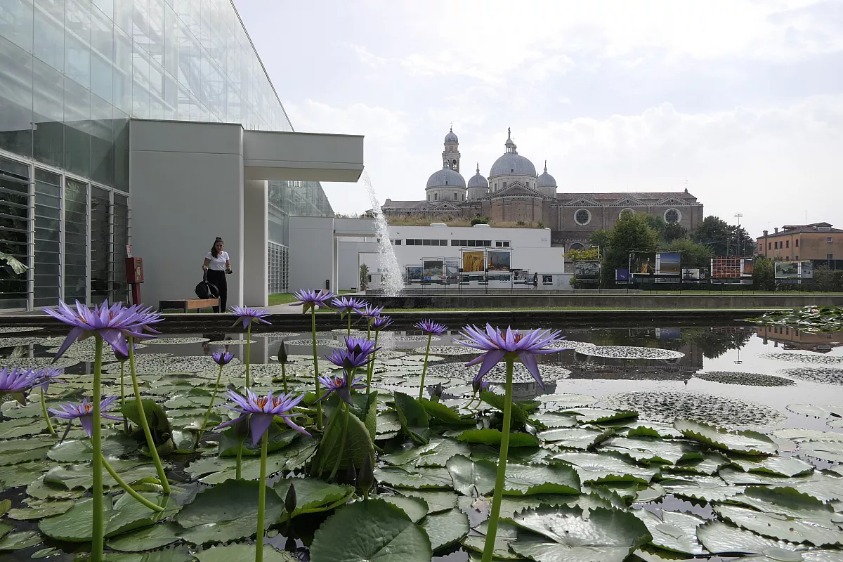 padova orto botanico