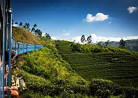 turistipercaso sri lanka_253468045