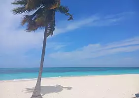 turistipercaso 20240308_124656