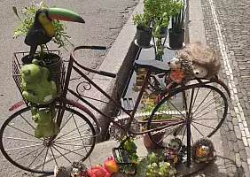 turistipercaso 8