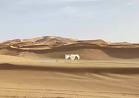 turistipercaso Tè nel deserto