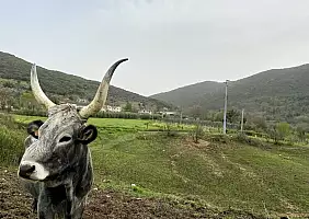 turistipercaso IMG_7320