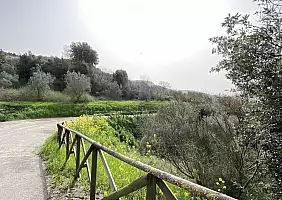 turistipercaso scorcio_2