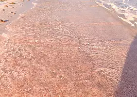 turistipercaso spiaggia_rosa_di_Elafonissi