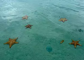 turistipercaso Stelle