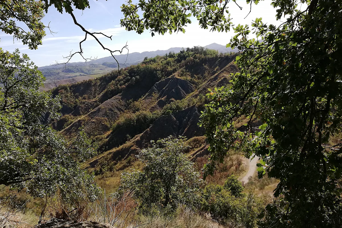 Calanchi di Monteveglio