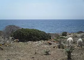 turistipercaso asinara