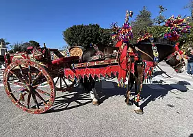turistipercaso marsala_carro