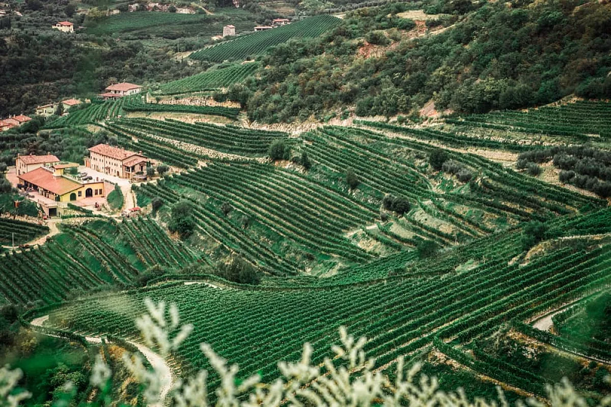 San Giorgio di Valpolicella
