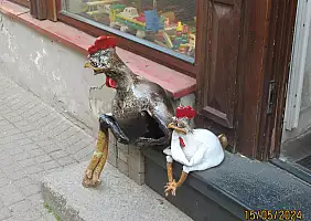 turistipercaso 6_Mah_