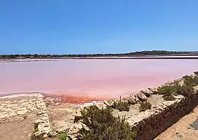 turistipercaso IMG_20240614_WA0010