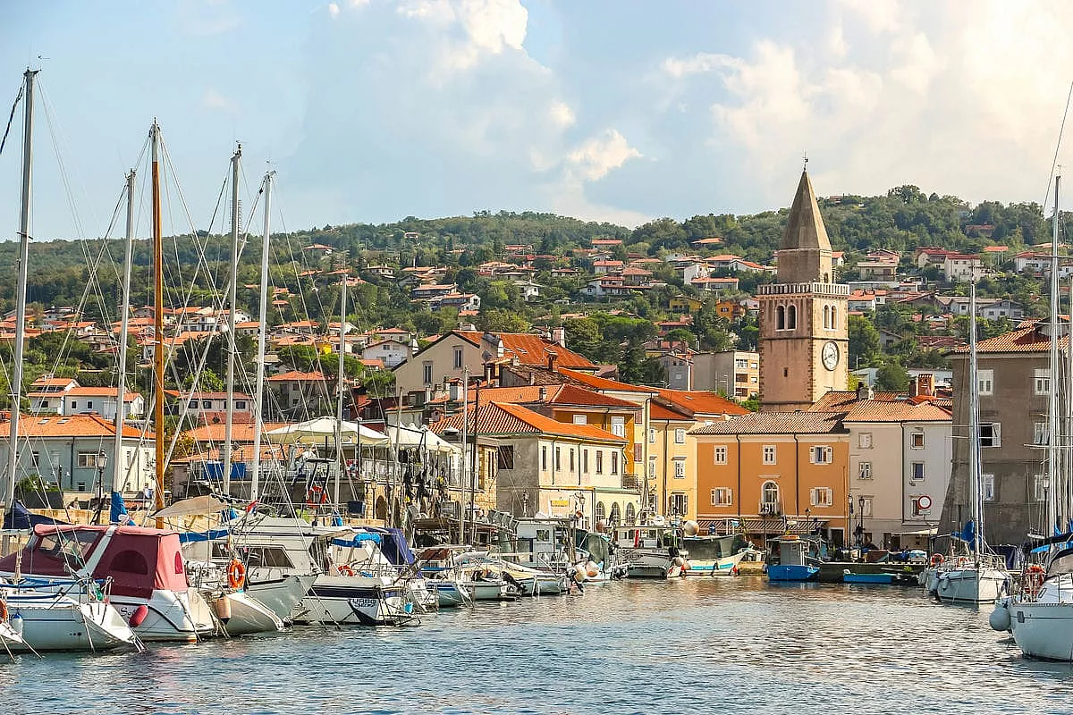 muggia