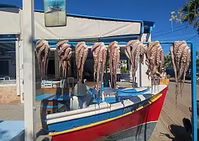 turistipercaso 450065922_10233183793685154_4682427969438274539_n