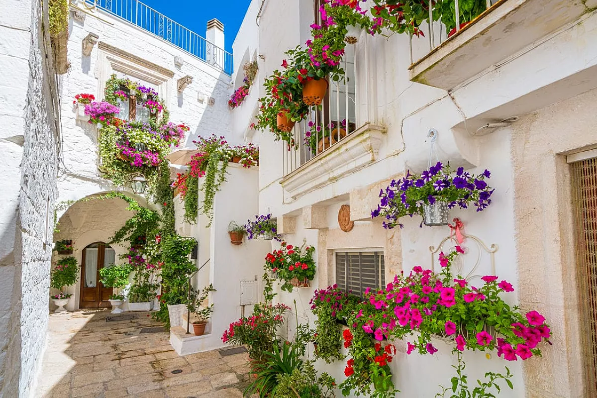 cisternino