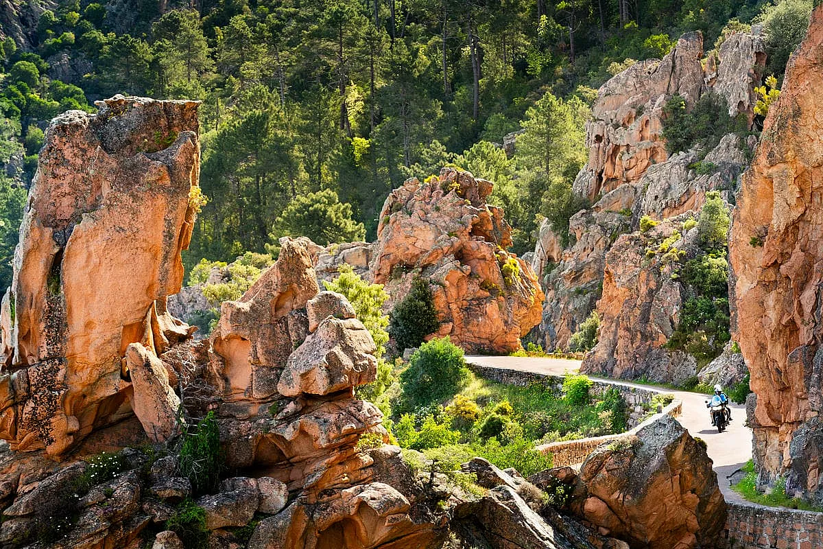 Calanchi, porti e città napoleoniche: la Corsica in estate si scopre così (ed è il modo più originale per farlo)